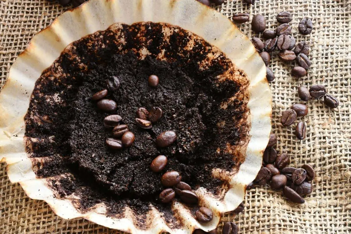 cafea