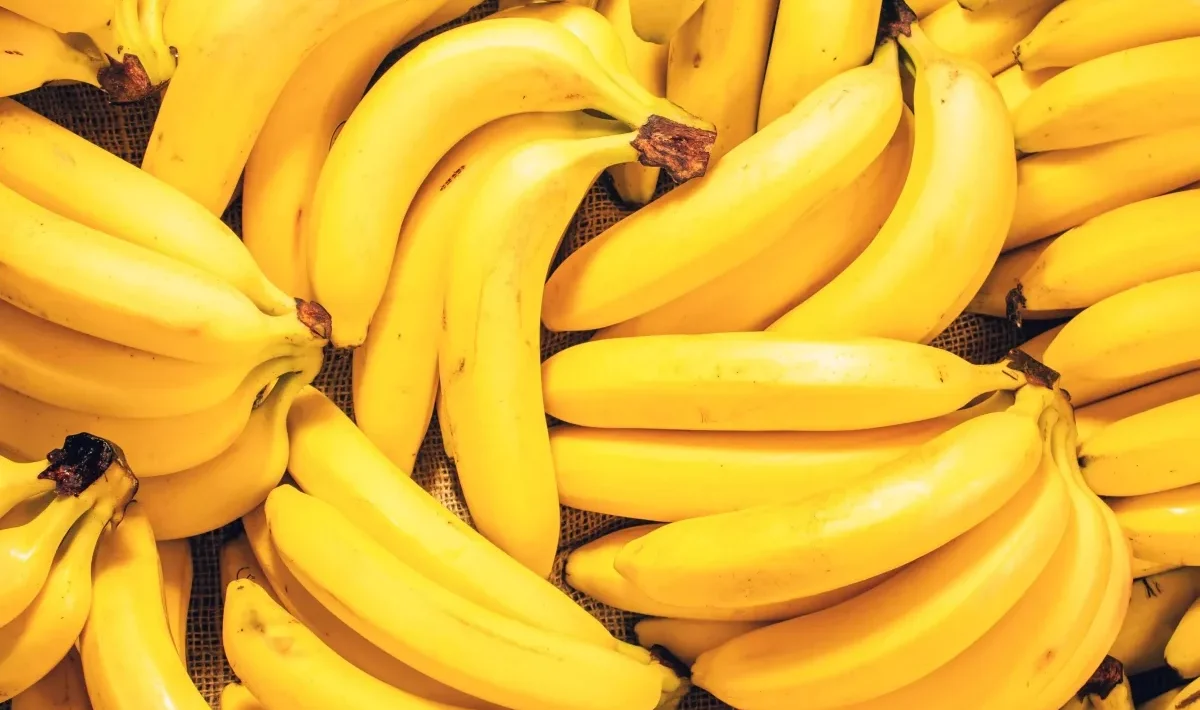 fructar