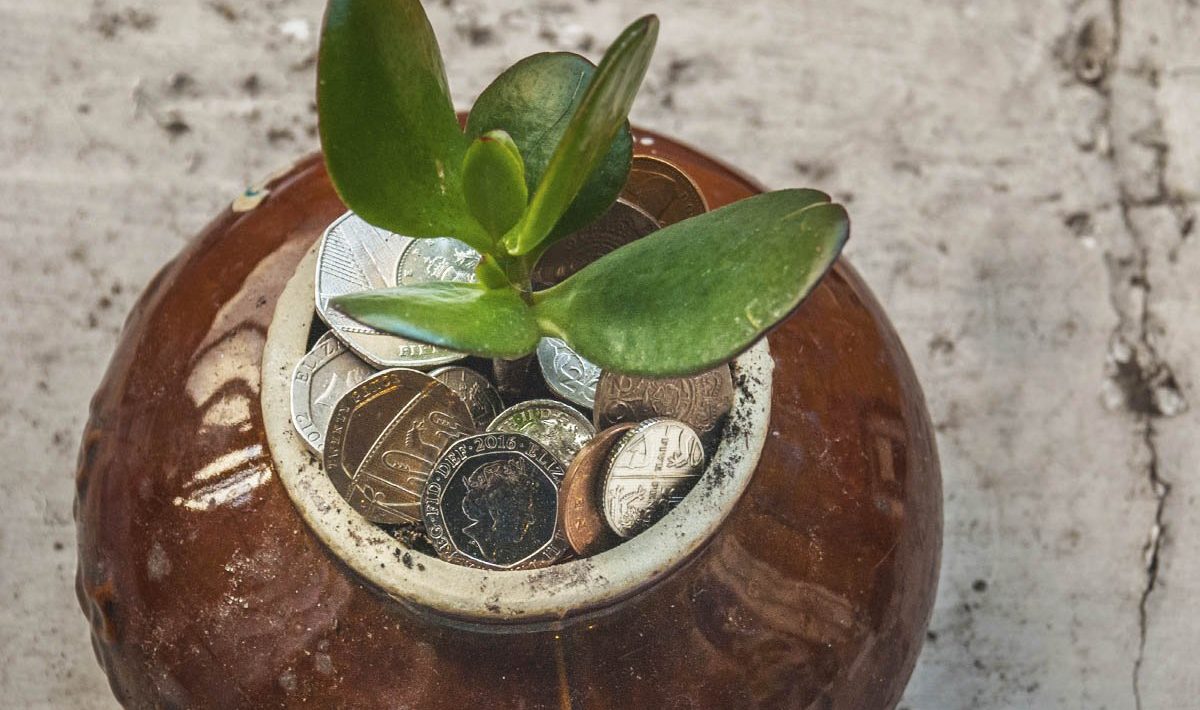 Feng Shui