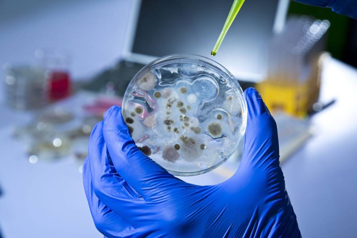 Acest nou material produs de bacterii este la fel de rezistent ca metalul
